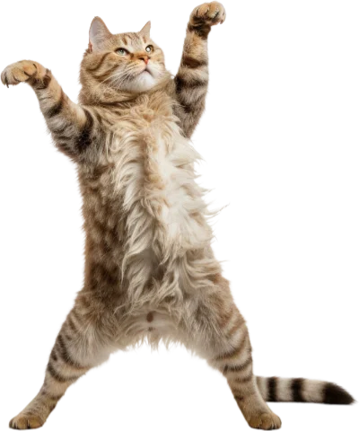 MaghribDigital Cursor Trail Image