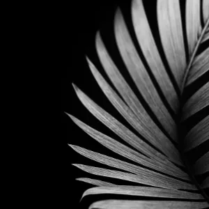 MaghribDigital Loader Image